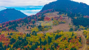 COMISION 0% | SACELE-BACIU| TEREN INTRAVILAN| 16 000 MP | NATURA - imagine 7