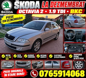 Skoda Octavia piese motor Bkc
