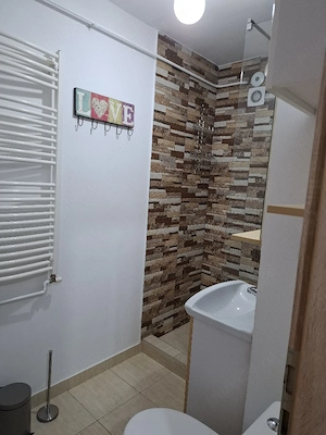 apartament 1 camera de inchiriat  - imagine 3