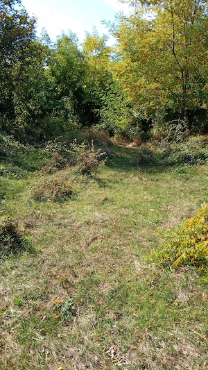 Teren de vânzare 