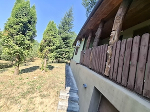 Loc. Carbunari   casa dispusa pe D+P+M, constructie din 2005, teren 2.700 mp - imagine 2