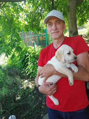 Vand mascul Tekel,femelă laborator și femelă CG - imagine 3