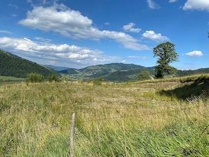Teren extravilan, 22 410 mp,  panorama montana, Campulung Moldovenesc  - imagine 7