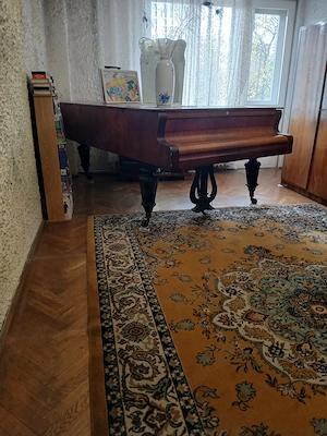 DE ÎNCHIRIAT VILĂ DEOSEBITĂ ÎN PETROȘANI   ideală pentru Clinică, Grădiniță privată, Birouri, etc. - imagine 4