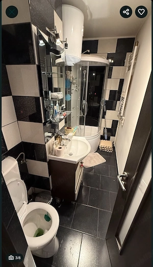 Apartament Baile-Herculane - imagine 8