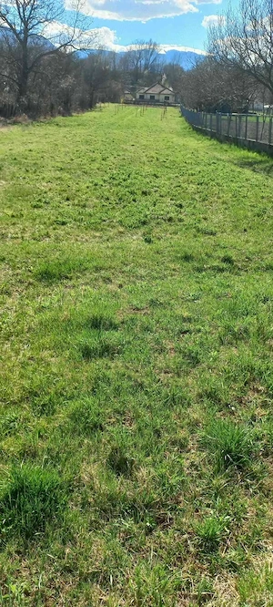 Teren intravilan. Localitatea Livadia, Comuna Baru, județul Hunedoara  - imagine 3