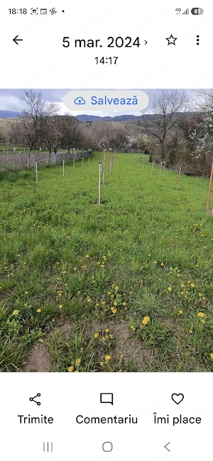 Teren intravilan. Localitatea Livadia, Comuna Baru, județul Hunedoara  - imagine 2