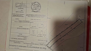 Teren intravilan. Localitatea Livadia, Comuna Baru, județul Hunedoara  - imagine 4