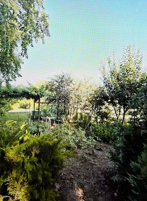 Apartament de vanzare Slatina - imagine 4