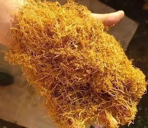 fir premium galeata 1 kg