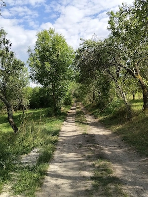 Vând casa Chidea