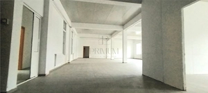 Spatiu comercial depozit tip hala si birouri - Mehala - imagine 3