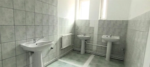 Spatiu comercial depozit tip hala si birouri - Mehala - imagine 12