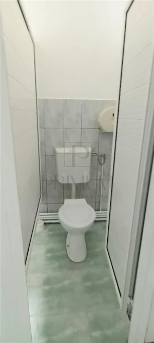 Spatiu comercial depozit tip hala si birouri - Mehala - imagine 10
