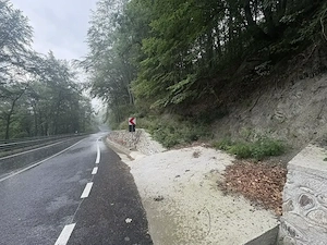De Vanzare teren 7500m2 o parte livada, parte faneata in Herculane langa baraj
