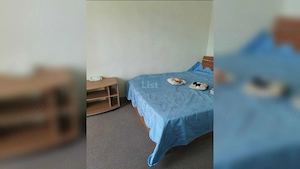 Apartament 2 camere Confort 2A Zona Vest - imagine 3