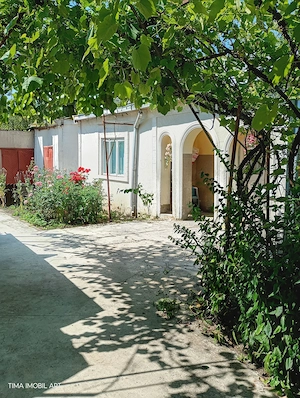 Doua case o Proprietate  Horlaceni , Dorohoi   DUPLEX