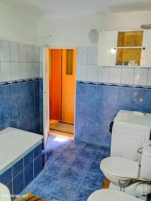 Doua case o Proprietate  Horlaceni , Dorohoi   DUPLEX - imagine 5