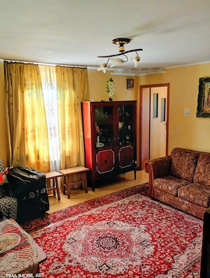 Doua case o Proprietate  Horlaceni , Dorohoi   DUPLEX - imagine 6