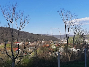 Vand 11500 mp teren str Morilor 178 pt Cartier Rezidential sau investitie 1500000 euro tot cu casa - imagine 4