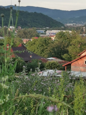 Vand 11500 mp teren str Morilor 178 pt Cartier Rezidential sau investitie 1500000 euro tot cu casa - imagine 3