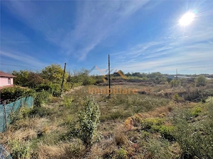 TEREN | 5682MP | LA INTRARE IN LES | ACCES DIN DN79 | BIHOR - imagine 3