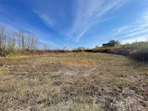 TEREN | 5682MP | LA INTRARE IN LES | ACCES DIN DN79 | BIHOR - imagine 5