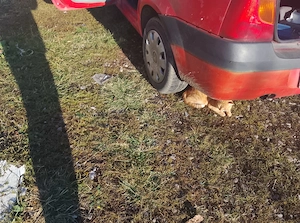 Vând Dacia Logan 