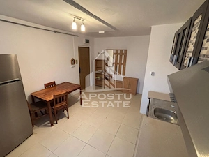 Apartament cu 2 camere, semidecomandat, zona Lipovei - imagine 5