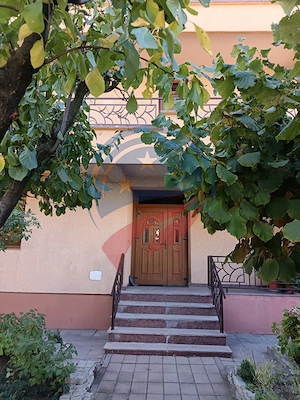 Proprietate de lux 7 camere, zona Muntenilor, 495 mp teren - imagine 7