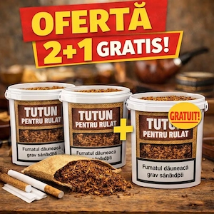 oferta fir 01