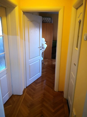 Apartament 2 camere– Tineretului, etaj 8/10 - imagine 4
