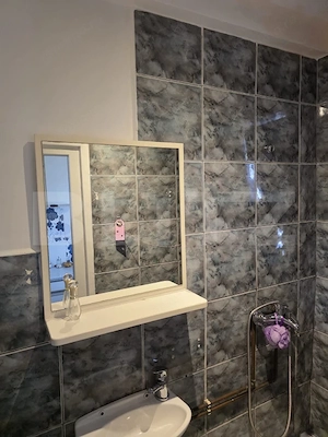 Apartament cu o camera, garaj, gradina, Zona strazii Bucuresti - imagine 7