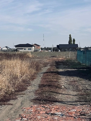 AV704 Parcele de vanzare, PUZ NOU, Covaci, 29.900 euro - imagine 4
