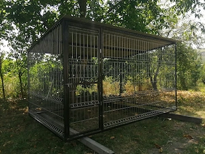 Tarc, padoc 1.5x2m pentru caini din structura metalica rezistenta NOU
