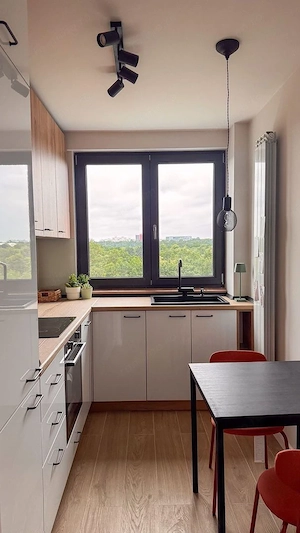 Apartament Luminos cu vedere panoramica la Parcul Tineretului. - imagine 8