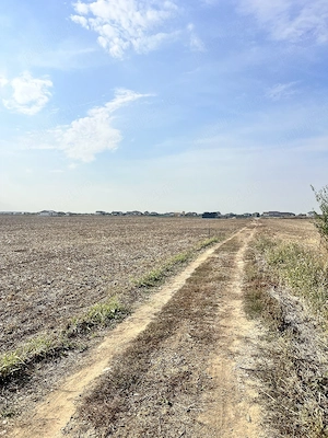 Teren de vânzare în Dragomirești-Vale, Ilfov   10.000 m , - imagine 5