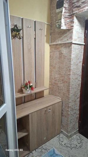 Apartament renovat 2 camere in Peregu Mare - imagine 12