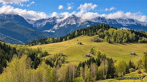Pensiune turistica la cheie, in plina activitate, 10 camere cu bai proprii, sala de mese 40 locuri,  - imagine 3