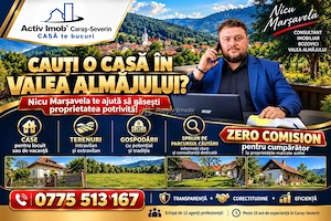 Lapusnicu Mare | Vila P+1 | 7 Incaperi | ZERO COMISION - imagine 5