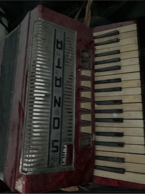acordeon sonata