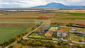 CASA VACANTA si CASA LA ROSU/938 mp teren SATU NOU/HALCHIU - imagine 4