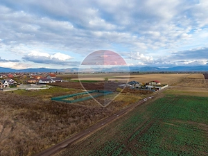Teren Intravilan 639mp Harman Str Ion Minulescu POT.30% CUT.0.60 - imagine 12