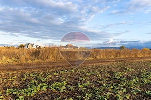 Teren Intravilan 639mp Harman Str Ion Minulescu POT.30% CUT.0.60 - imagine 16