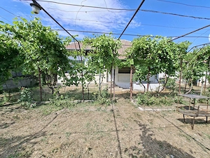 Vand casa în comuna Rogova (25km de Severin) având suprafața de 1140mp - imagine 2