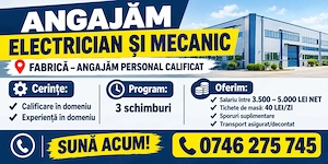 Electrician si mecanic intretinere si reparatii utilaje fabrica