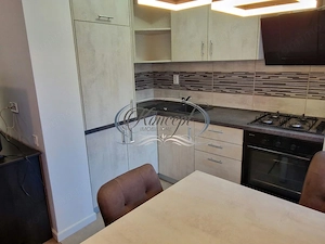 Apartament cu o camera si terasa, Iris - imagine 2
