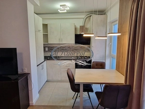 Apartament cu o camera si terasa, Iris