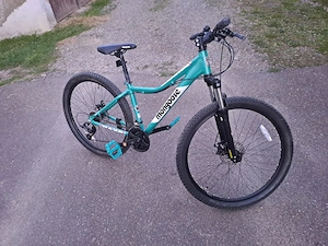 Van bicicleta