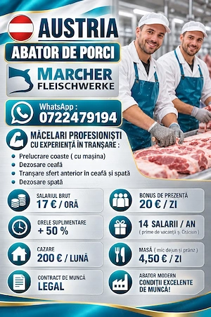 AUSTRIA  - Abator porc  - Villach  ! 